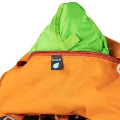 Osprey Ace 50 -ClimbPro Store osprey kids ace 50 hiking pack orange sunset 4